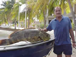 Fishing charters are available from all coastal destinations in Belize